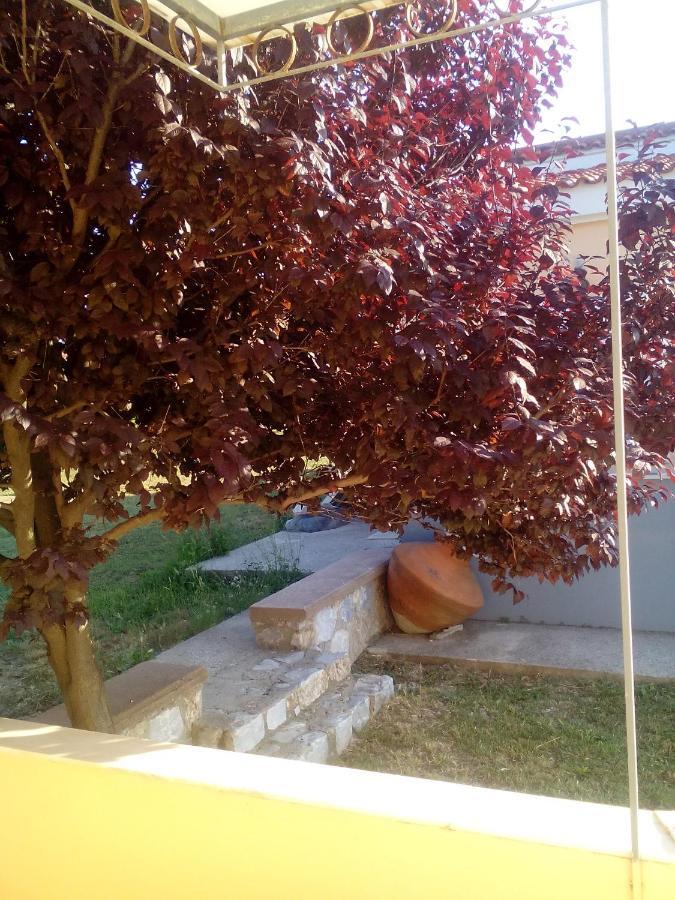 Studios Στουσ Πυργουσ Θερμησ Mytilíni Buitenkant foto